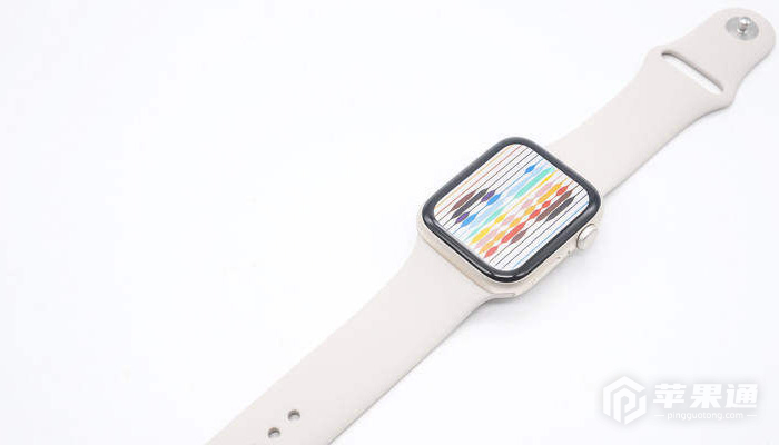 Apple Watch SE 2如何检测是不是正品