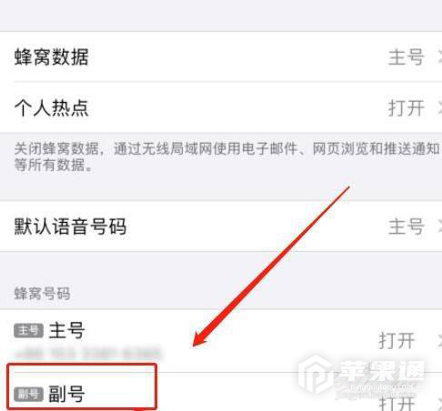 iPhone 14 Pro流量使用情况查询方法介绍