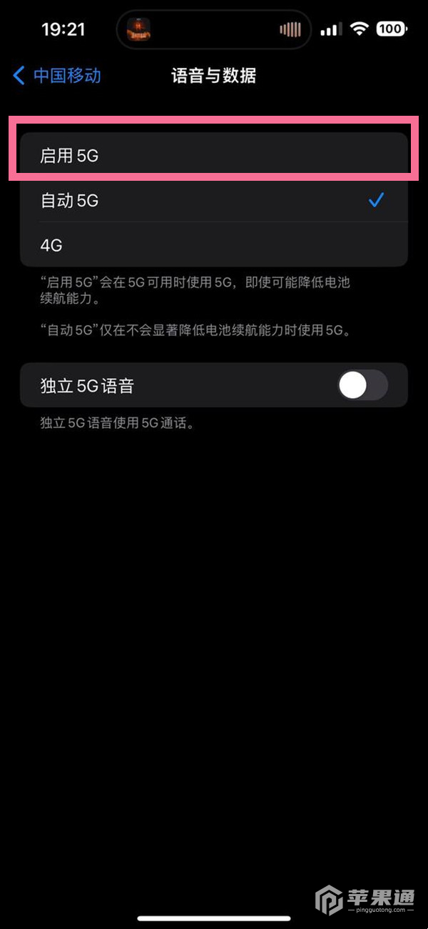 苹果15pro如何开启5g网络