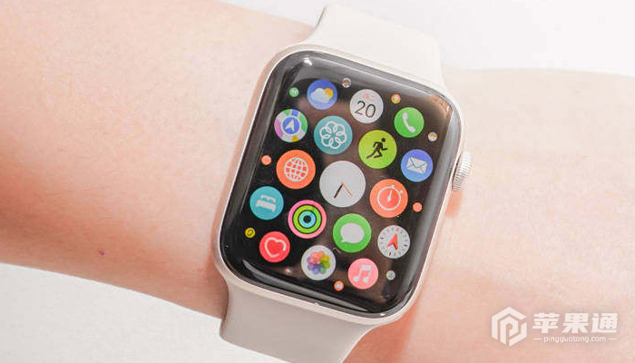 Apple Watch SE 2外壳是什么